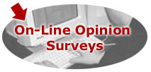 On-Line Opinion Surveys